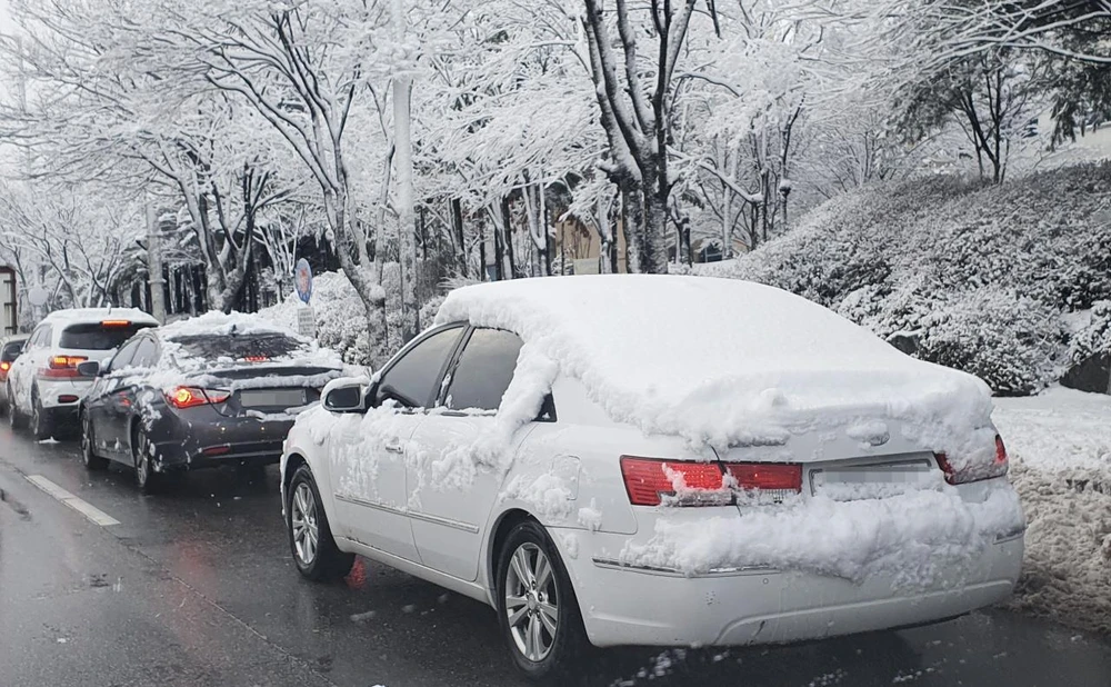 Những chiếc xe ôtô phủ đầy tuyết ở Chuncheon, cách Seoul 85km về phía đông ngày 2/3. (Nguồn: Yonhap)