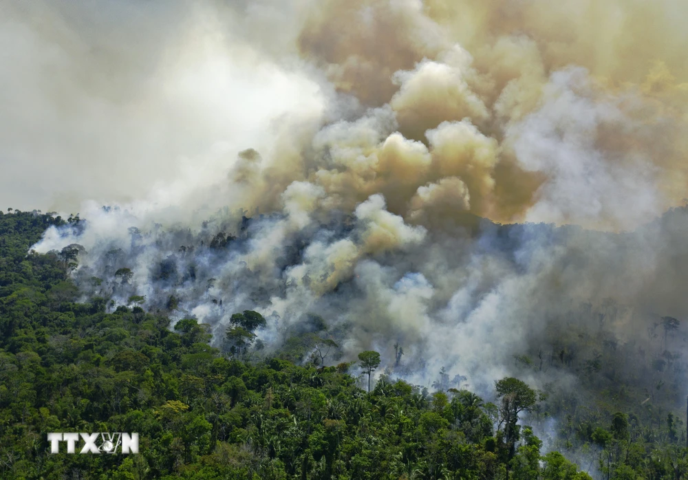 Khói lửa bốc lên từ đám cháy tại khu vực rừng Amazon ở bang Para State, Brazil ngày 16/8/2020. (Ảnh: AFP/TTXVN)