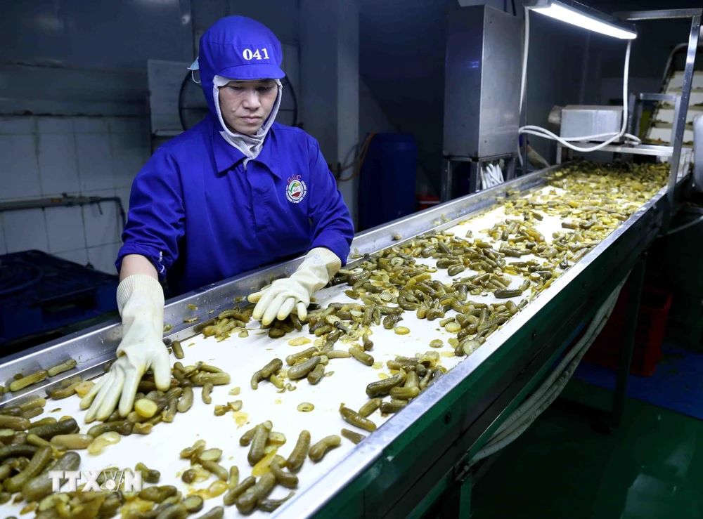 Dây chuyền đóng lọ dưa chuột xuất khẩu của Công ty CP chế biến thực phẩm xuất khẩu GOC, Bắc Giang. (Ảnh: Vũ Sinh/TTXVN)