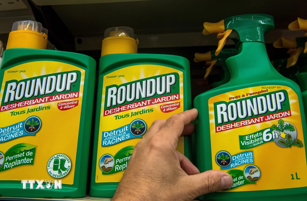 Thuốc diệt cỏ Roundup của Công ty hóa chất Mỹ Monsanto được bày bán tại một cửa hàng ở Lille, Pháp. (Ảnh: AFP/TTXVN)