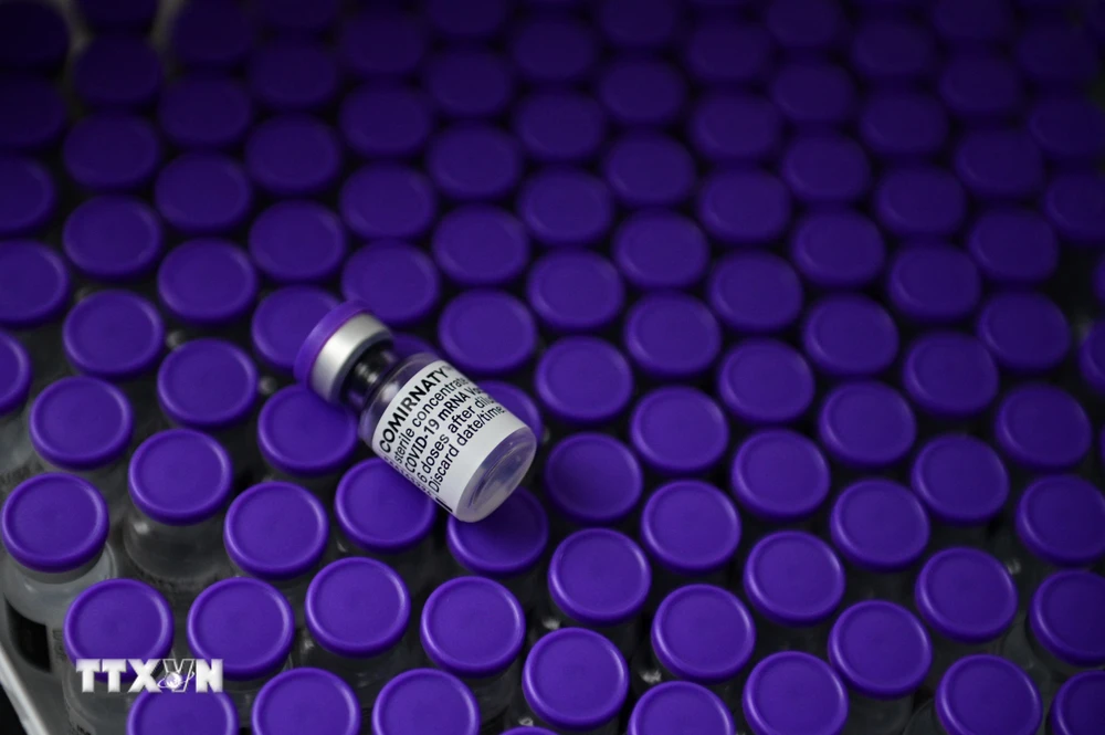 Vaccine ngừa COVID-19 của Pfizer/BioNtech. (Ảnh: AFP/TTXVN)