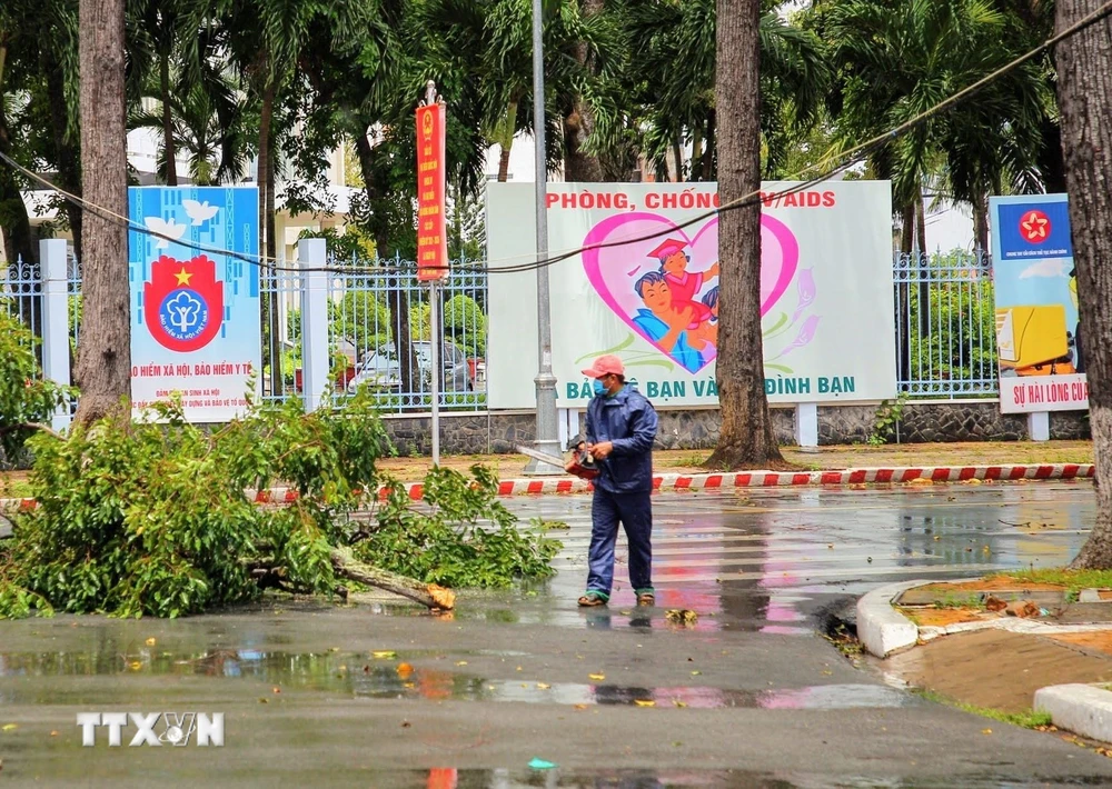 Thu dọn cành cây bị tét nhánh do dông lốc vào trưa 27/7 tại quận Ninh Kiều, Cần Thơ. (Ảnh: TTXVN phát)