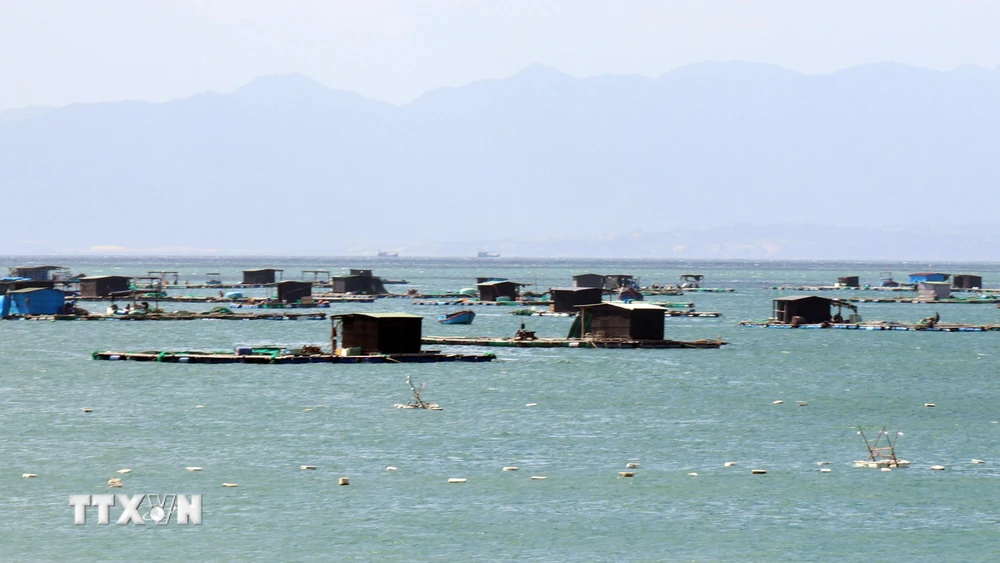 Kiểm soát chặt rác thải từ nghề nuôi trồng thủy sản gây ô nhiễm môi trường biển. (Ảnh: Công Thử/TTXVN)