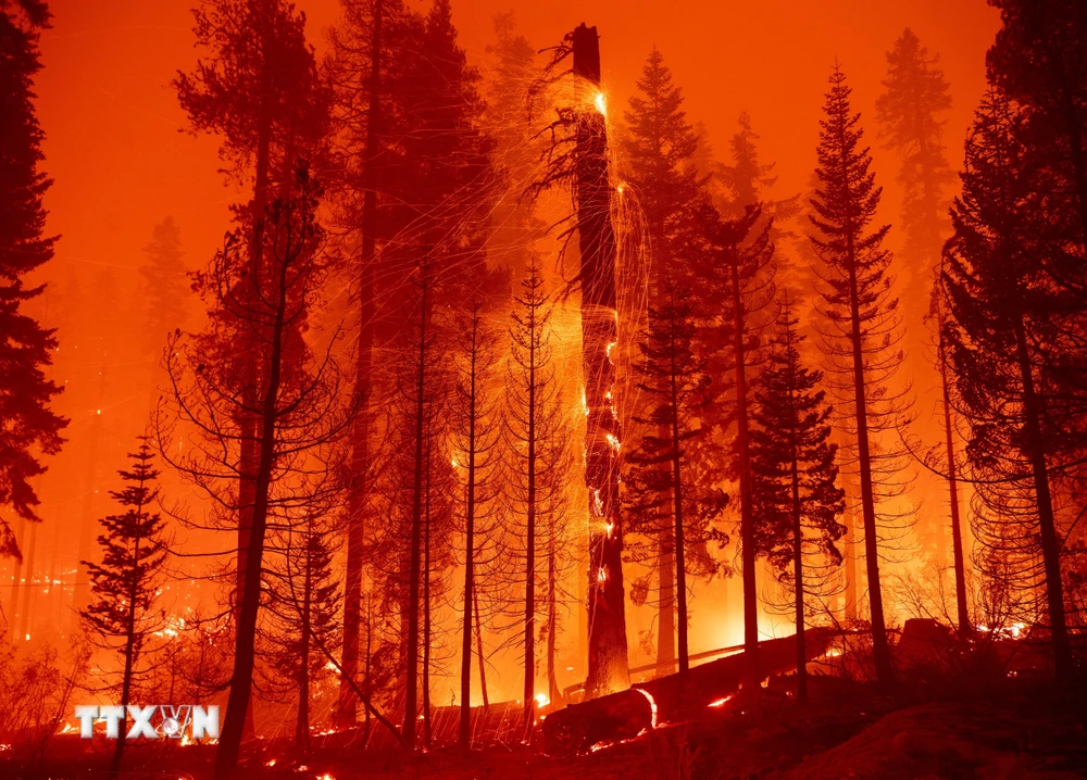 Lính cứu hoả Mỹ nỗ lực dập lửa cháy rừng ngùn ngụt tại “giặc lửa” Twin Bridges, bang California, ngày 29/8/2021. (Ảnh: AFP/TTXVN)