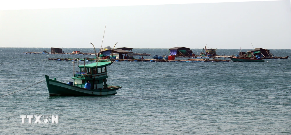 Nuôi cá lồng bè trên vùng biển An Thới, thành phố Phú Quốc. (Ảnh: Lê Huy Hải/TTXVN)