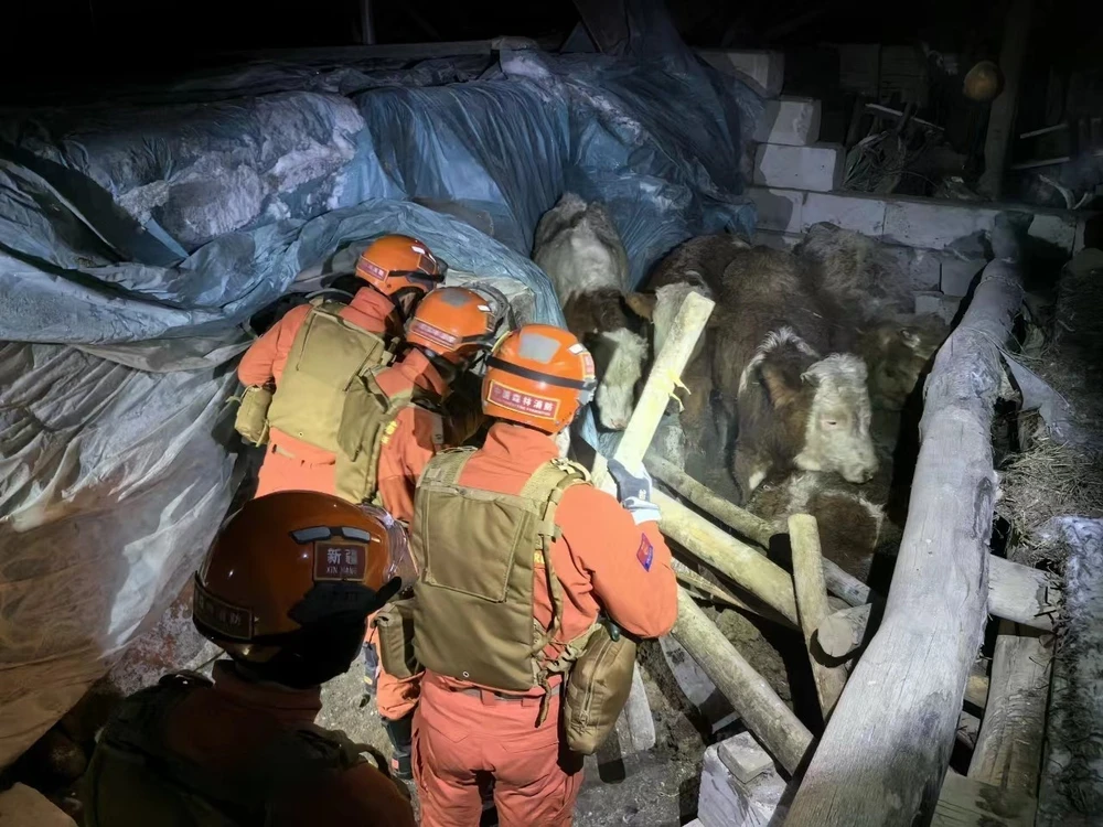 Lực lượng cứu hộ tìm kiếm các nạn nhân tại khu vực bị ảnh hưởng của động đất ở huyện Wushi, thành phố Aksu, Tân Cương, Trung Quốc ngày 23/1/2024. (Ảnh: THX/TTXVN)