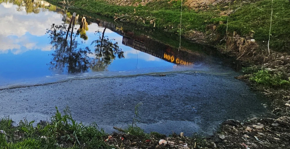 Dòng nước đen kịt và ngập rác tại Hồ Đội Có, một trong những hồ lắng quanh Hồ Xuân Hương. (Ảnh: Báo Lâm Đồng)