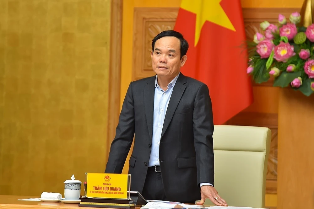 Phó Thủ tướng Chính phủ Trần Lưu Quang. (Ảnh: TTXVN phát)