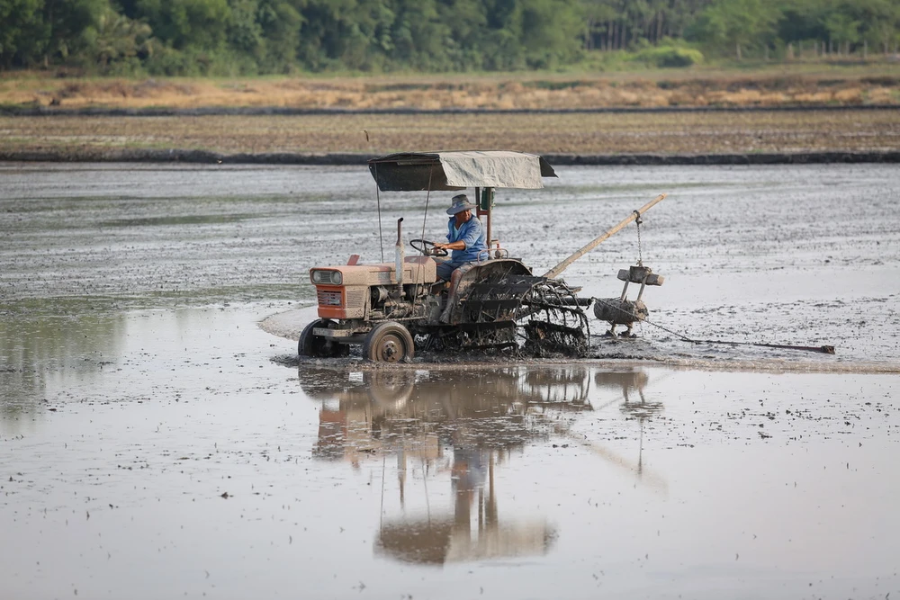 Tận dụng nguồn nước từ hồ Dầu Tiếng, nông dân huyện Châu Thành, tỉnh Tây Ninh chuẩn bị trồng lúa cho vụ Đông Xuân. (Ảnh: Giang Phương/TTXVN)