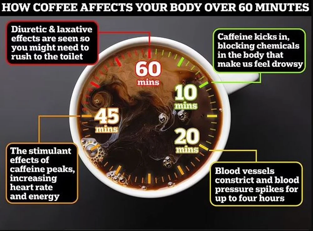 Quá trình càphê tác động đến cơ thể của bạn. (Nguồn: Dailymail)