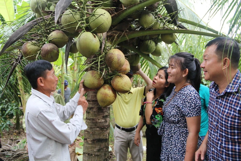 Đánh Giá và Phản Hồi Từ Cộng Đồng