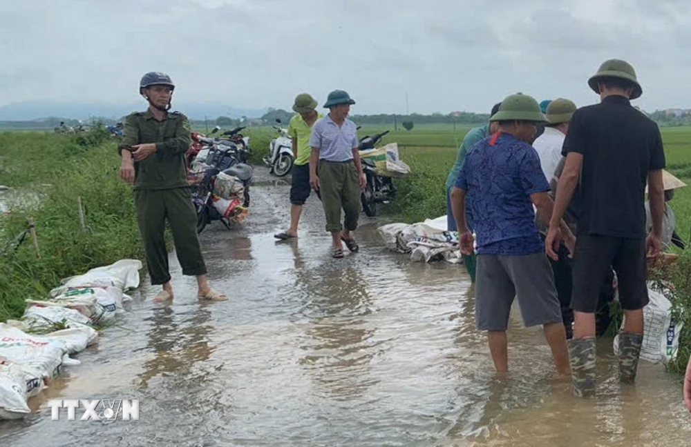 Lực lượng chức năng cùng người dân xã Xuân Giang (Sóc Sơn, Hà Nội) đắp bờ chống lũ tràn từ sông Cầu, bảo vệ lúa, hoa màu. (Ảnh: TTXVN phát)