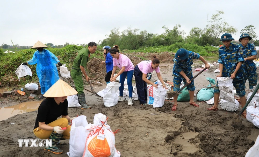 Lực lượng chức năng cùng người dân xã Đại Áng (huyện Thanh Trì, Hà Nội) chuẩn bị gần 10.000 bao tải cát, đóng cọc để gia cố đê tả sông Nhuệ đoạn qua Trạm bơm Hòa Bình. (Ảnh: TTXVN phát)