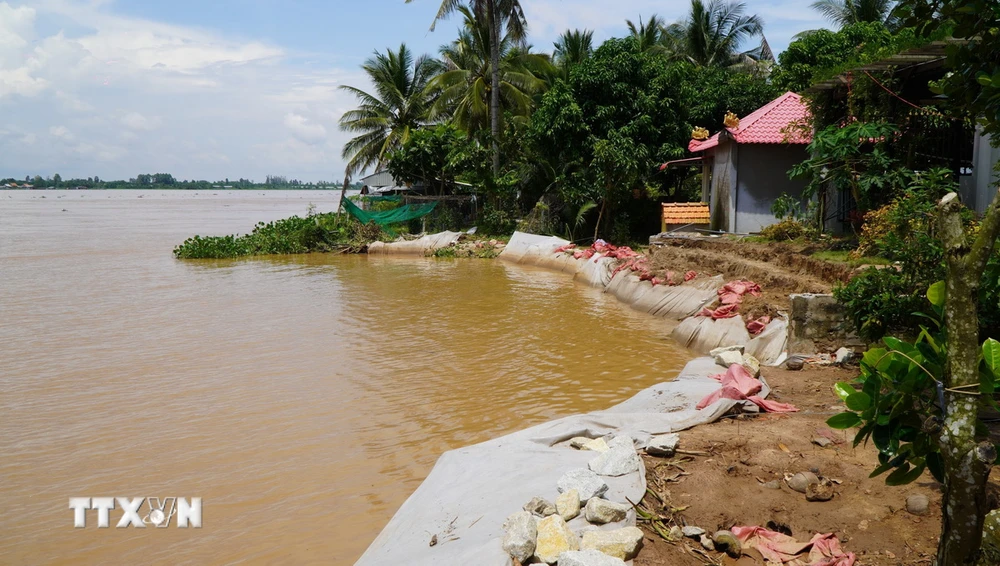 Khu vực sạt lở ven sông Tiền, đoạn thuộc phường 11, thành phố Cao Lãnh (tỉnh Đồng Tháp). (Ảnh: Nhựt An/TTXVN)