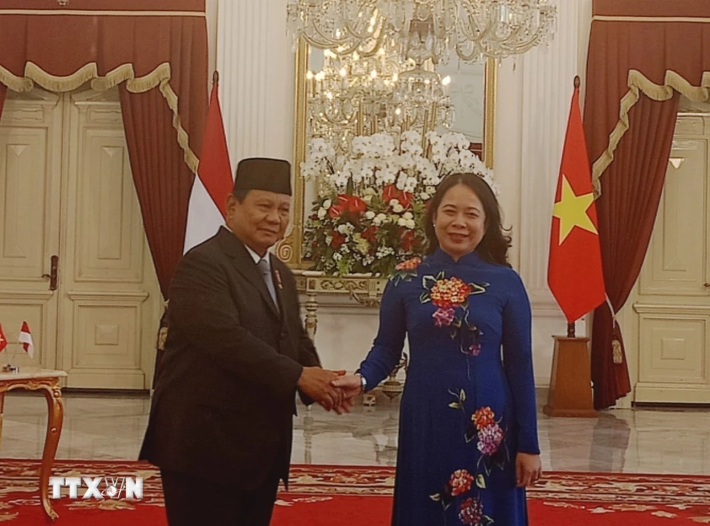 Phó Chủ tịch nước Võ Thị Ánh Xuân và Tổng thống Indonesia Prabowo Subianto tại cuộc tiếp. (Ảnh: TTXVN phát)