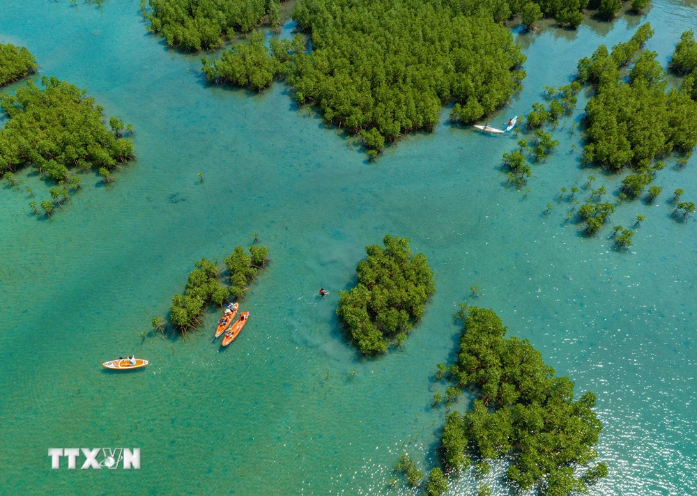 Rừng ngập mặn Đầm Bấy, vịnh Nha Trang, tỉnh Khánh Hòa nhìn từ trên cao xuống. (Ảnh: Phan Sáu/TTXVN)