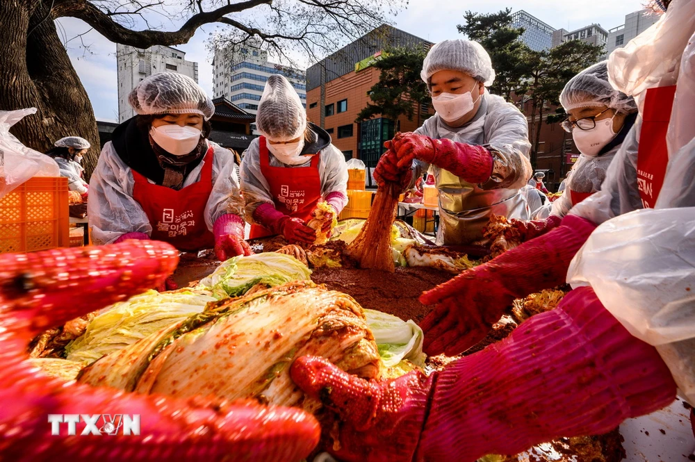 Người dân làm kim chi tại Seoul, Hàn Quốc ngày 2/12/2021. (Ảnh: AFP/TTXVN)