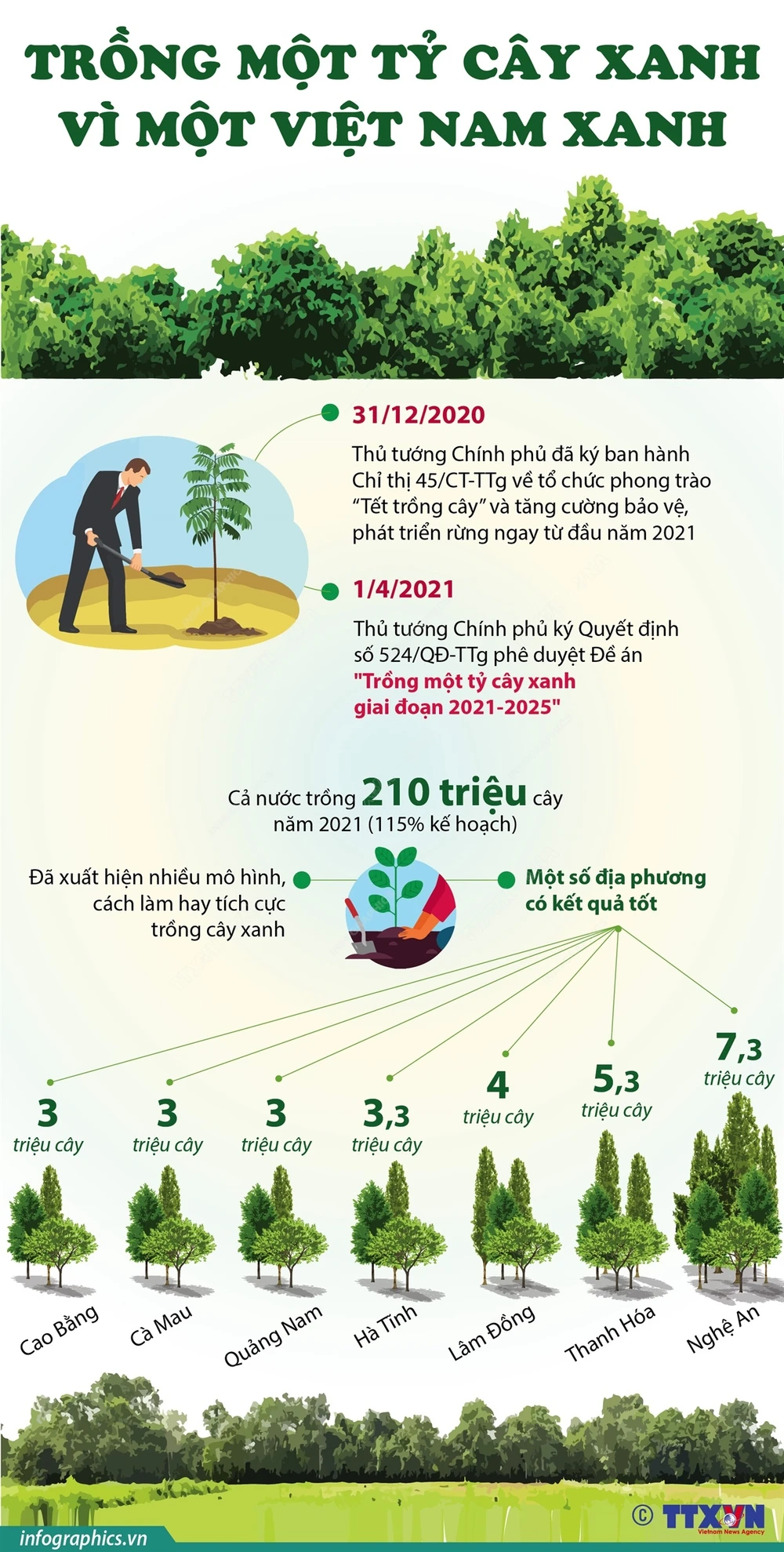 Infographics] Trồng một tỷ cây xanh - Vì một Việt Nam xanh | Vietnam+  (VietnamPlus)