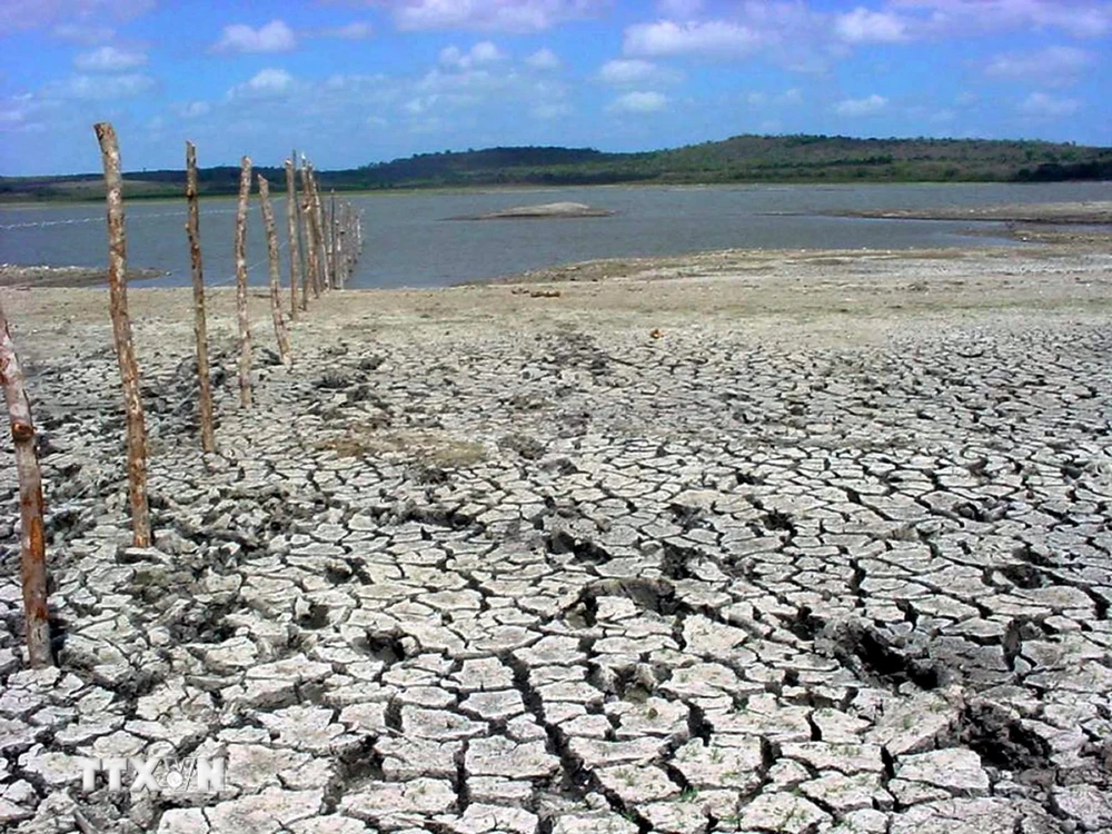Đất khô nứt nẻ do hạn hán kéo dài tại tỉnh Camaguey, Cuba. (Nguồn: AFP/TTXVN) 