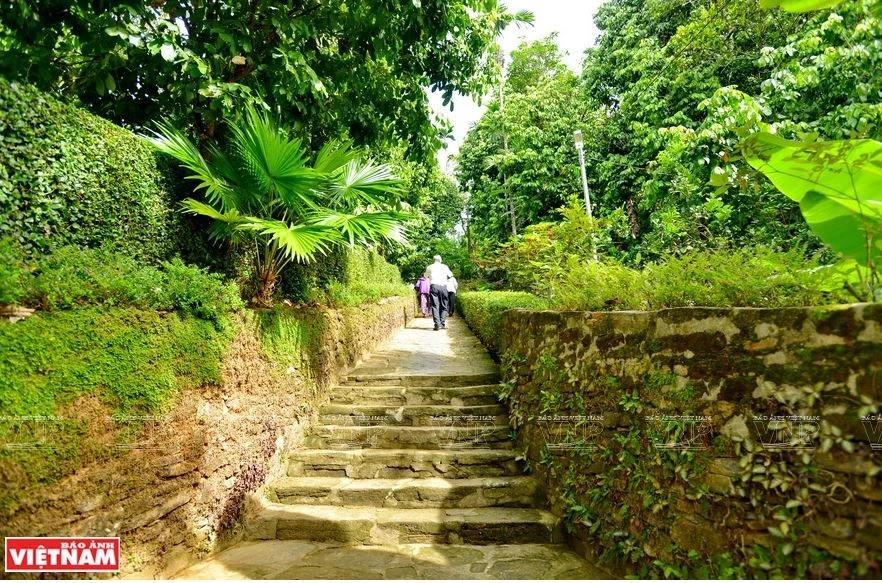 Ngõ đá rợp bóng cây xanh ở làng cổ Lộc Yên. (Ảnh: Thanh Hòa/Báo Ảnh Việt Nam) 