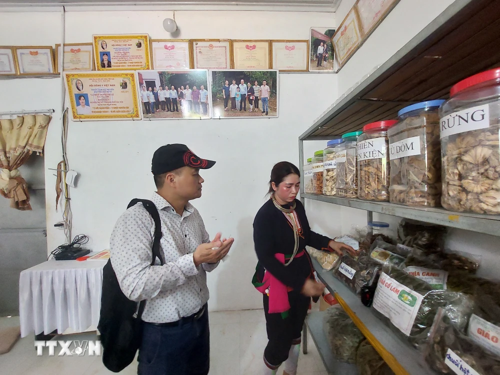 Cơ sở giới thiệu thuốc Nam của người Dao quần chẹt thôn Hợp Sơn, xã Ba Vì. (Ảnh: Đinh Thuận/TTXVN)