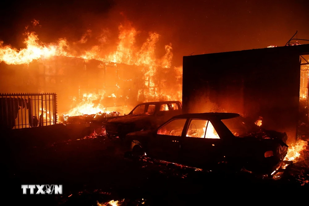 Nhà cửa và xe cộ bị thiêu rụi do cháy rừng tại Vina del Mar, Chile ngày 2/2/2024. (Ảnh: AFP/TTXVN)