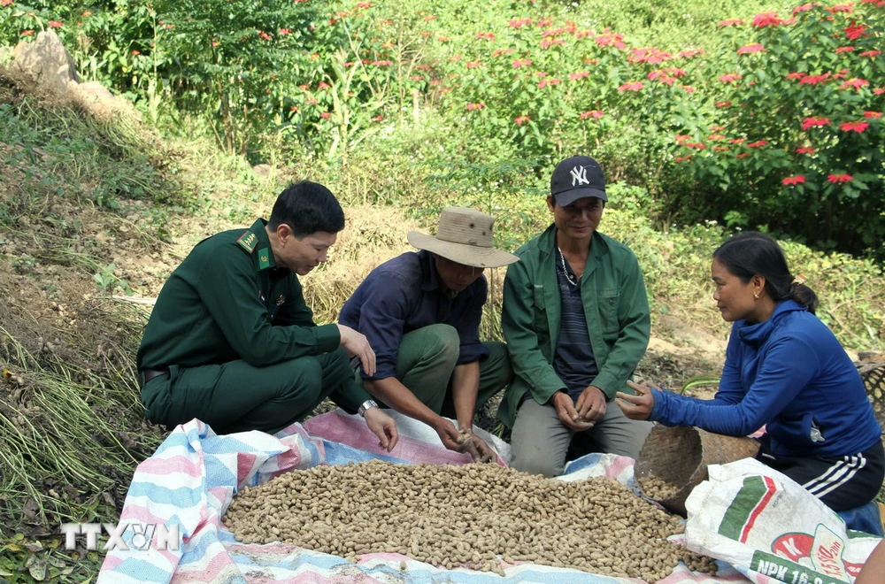 Thượng tá Trần Xuân Hiểu, Phó Bí thư tăng cường xã Nậm Cắn, huyện Kỳ Sơn, tỉnh Nghệ An hướng dẫn người dân phát triển kinh tế. (Ảnh: Văn Tý/TTXVN)