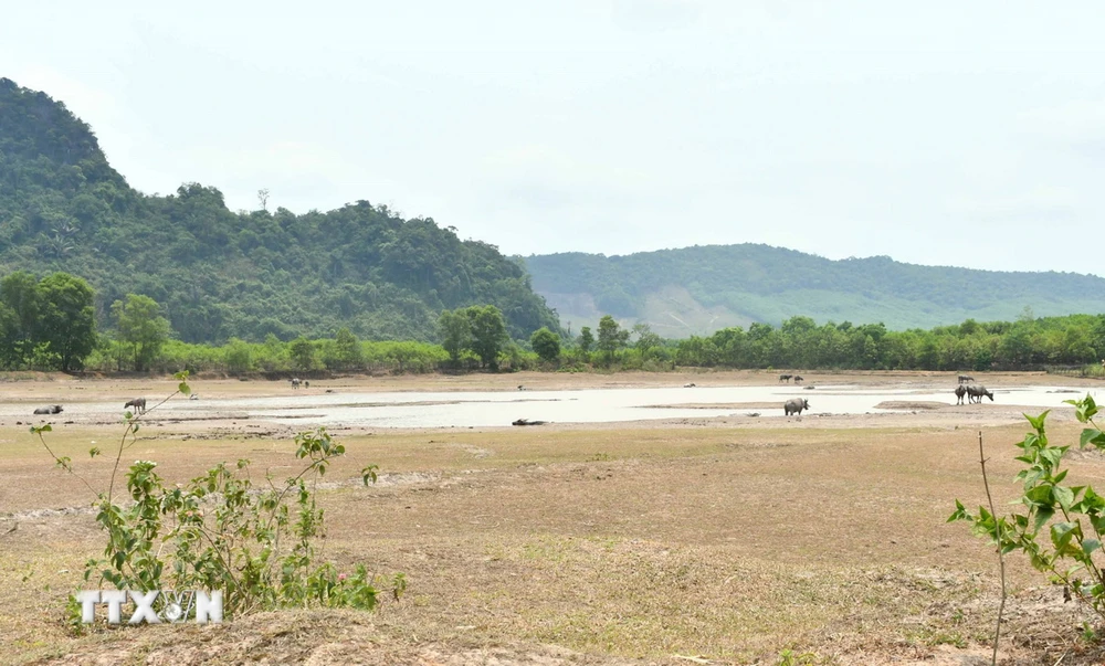 Nắng nóng gay gắt kéo dài khiến nhiều hồ, đập tại huyện Minh Hóa cạn kiệt nước. (Ảnh: Tá Chuyên/TTXVN)