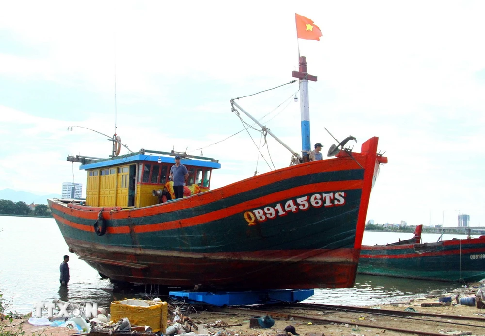 Ngư dân tỉnh Quảng Bình đưa tàu lên bờ để thực hiện kiểm tra để hoàn thành hồ sơ thủ tục cấp phép. (Ảnh: Tá Chuyên/TTXVN)