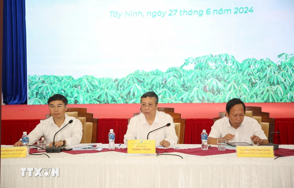 Đoàn chủ trì Hội nghị bàn giải pháp phát triển bền vững ngành hàng sắn Việt Nam. (Ảnh: Giang Phương/TTXVN)