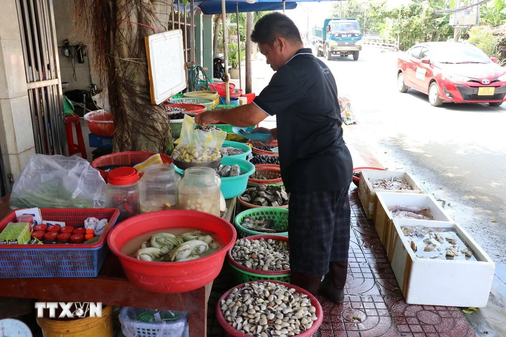 Nghêu thương phẩm ở huyện Gò Công Đông, tỉnh Tiền Giang. (Ảnh: Hữu Chí/TTXVN)