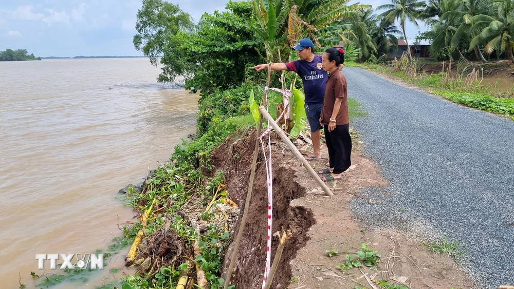 Sạt lở sông Hậu ở ấp An Bình, xã Hòa Tân, huyện Cầu Kè ngày càng nghiêm trọng. (Ảnh: Thanh Hòa/TTXVN)