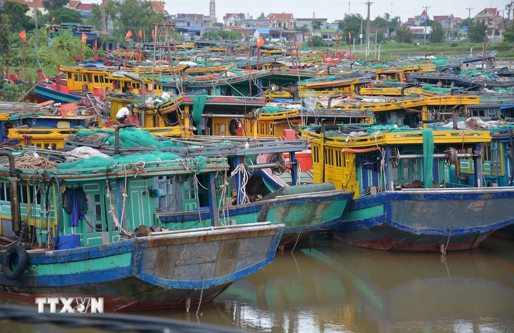 Tàu thuyền neo đậu trên bến cá xã Giao Hải, huyện Giao Thuỷ, tỉnh Nam Định. (Ảnh: Công Luật/TTXVN)