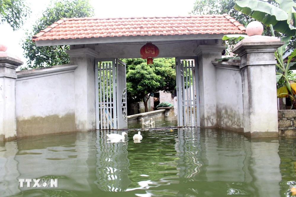 Ngập lụt ở xã Nam Phương Tiến, huyện Chương Mỹ (Hà Nội). (Ảnh: Nguyễn Văn Cảnh/TTXVN)