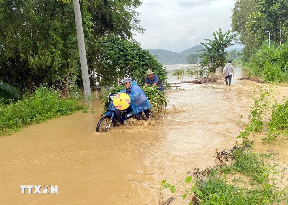 Ngập úng tại xã Tú Thịnh, huyện Sơn Dương. (Ảnh: TTXVN phát)