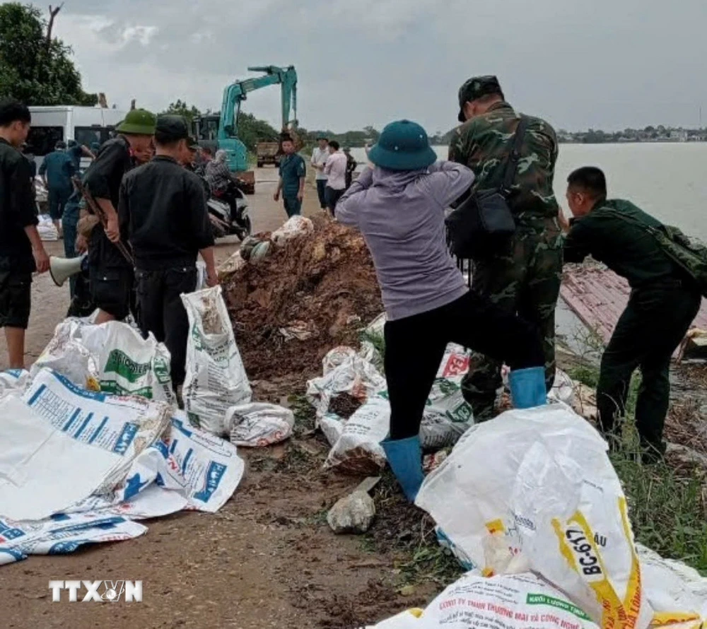 Các lực lượng xã Nam Phuơng Tiến (huyện Chuơng Mỹ) khẩn trương hộ đê khi nước sông Bùi dâng cao. (Ảnh: TTXVN phát)