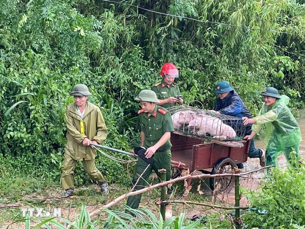 Công an Vĩnh Phúc phối hợp với lực lượng chức năng sơ tán tài sản, giúp người dân vùng ngập lụt. (Ảnh: Nguyễn Thảo/TTXVN)