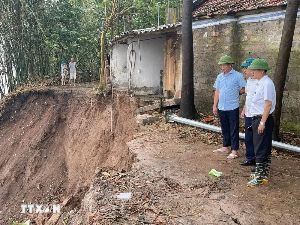 Ông Trương Văn Học, Phó Chủ tịch Ủy ban Nhân dân huyện Gia Lâm đi kiểm tra thực tế những vị trí sạt lở bờ sông ở xã Kim Lan. (Ảnh: Mạnh Khánh/TTXVN)