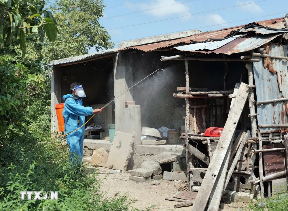 Lực lượng thú y của huyện Ninh Sơn (Ninh Thuận) phun hóa chất tiêu độc, khử trùng cho hộ chăn nuôi lợn bị dịch tả Châu Phi. (Ảnh: TTXVN phát)