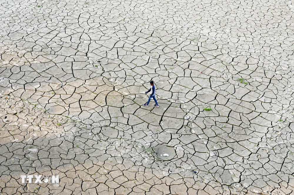 Ảnh minh họa. (Ảnh: AFP/TTXVN)