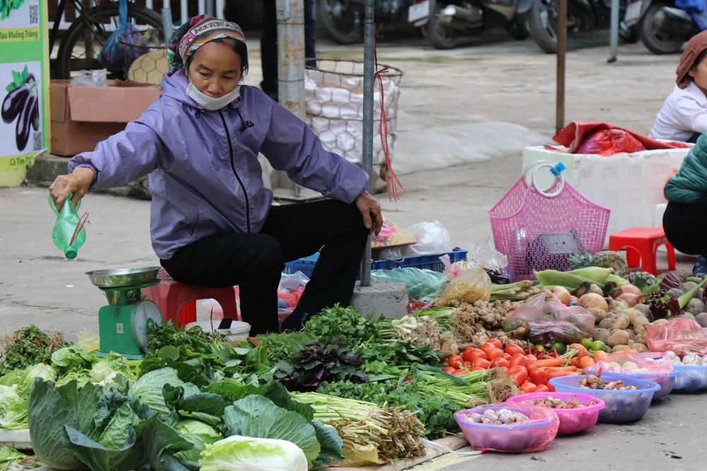 Chỉ số giá tiêu dùng tháng Một tăng 0,06% do nhu cầu mua sắm Tết. (Ảnh: Hạnh Nguyễn/Vietnam+)