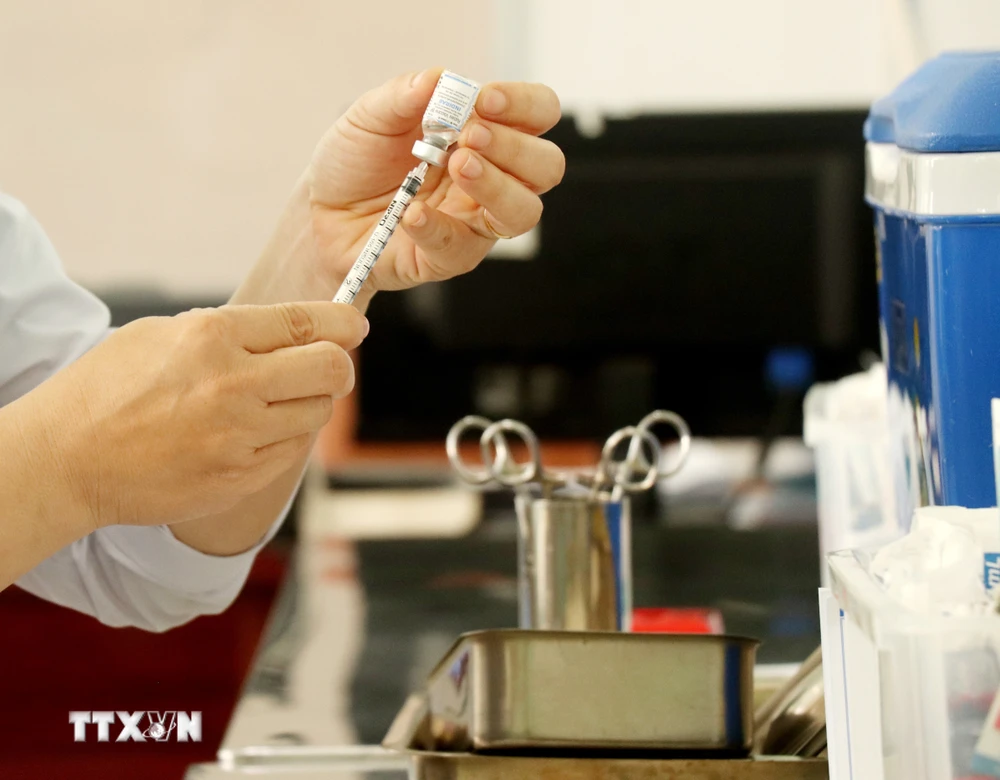 Các chuyên gia y tế khuyến cáo người bị chó, mèo cắn nên đi tiêm phòng vaccine bệnh dại đúng lịch và đầy đủ. (Ảnh: Thu Hiền/TTXVN) 