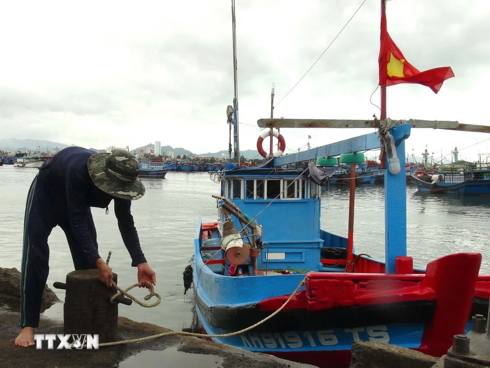 Bình Định khẩn trương tìm kiếm tàu cá bị mất liên lạc trên biển | Vietnam+  (VietnamPlus)