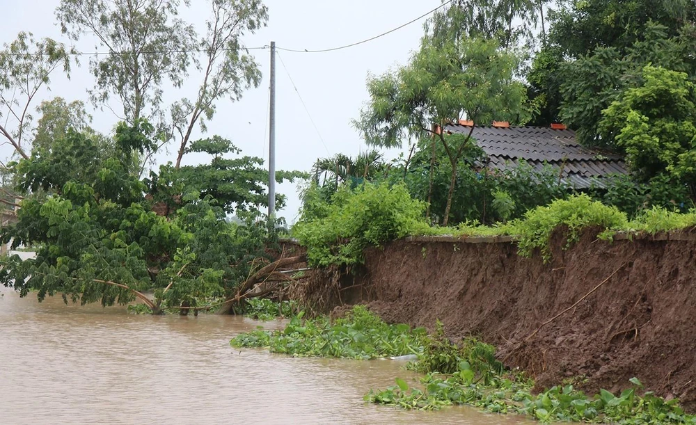 Nhà ở người dân dọc tuyến kênh Phú Tòng đứng trước nguy cơ sạt lở tuột xuống kênh. (Ảnh: Huỳnh Sử/TTXVN)