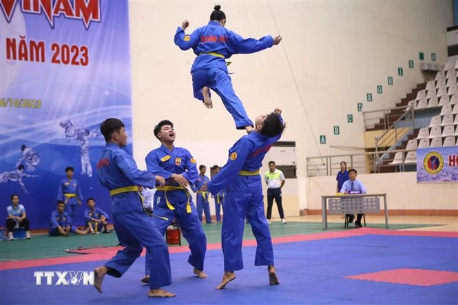 Vovinam - Việt Võ Đạo được công nhận là Di sản Văn hóa Phi vật thể Quốc gia.. (Ảnh: Công Luật/TTXVN)