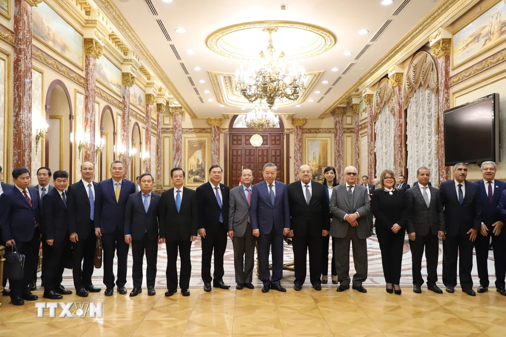 Đai tướng Tô Lâm và Đoàn Đại biểu Đảng Cộng sản Việt Nam với lãnh đạo Thượng viện Ai Cập. (Ảnh: Nguyễn Trường/TTXVN) 