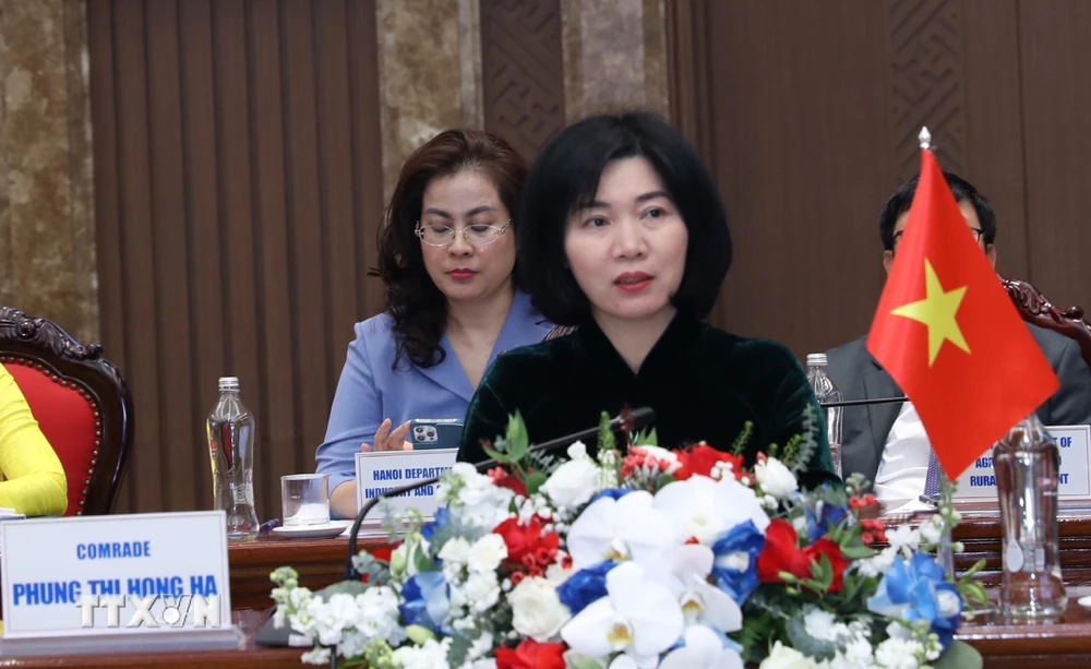 Phó Chủ tịch Thường trực Hội đồng Nhân dân thành phố Hà Nội Phùng Thị Hồng Hà tại buổi hội đàm. (Ảnh: Nguyễn Thắng/TTXVN)