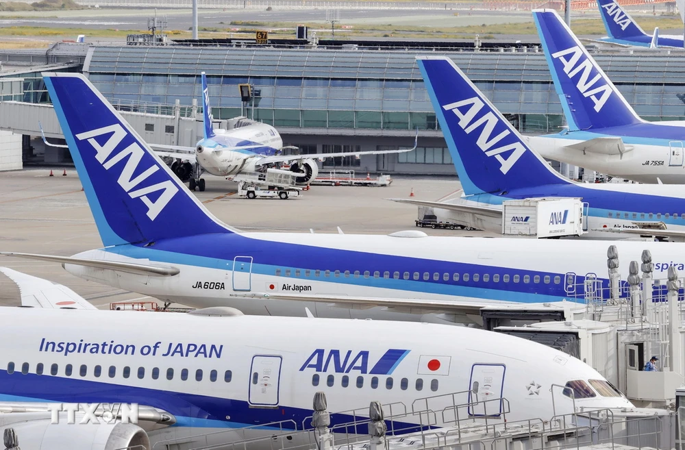 Trong ảnh: Máy bay của Hãng hàng không Nhật Bản All Nippon Airways tại sân bay Haneda ở Tokyo. (Ảnh: KYODO/TTXVN)