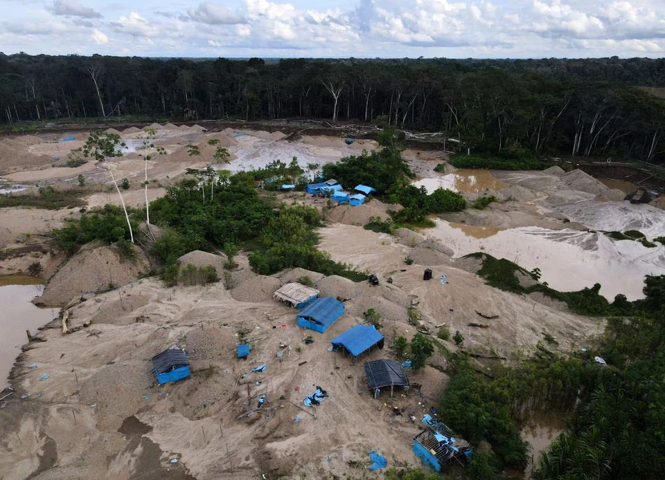 Trại của những người khai thác vàng ở Los Amigos, thuộc vùng Madre de Dios, Peru. (Nguồn: Reuters)