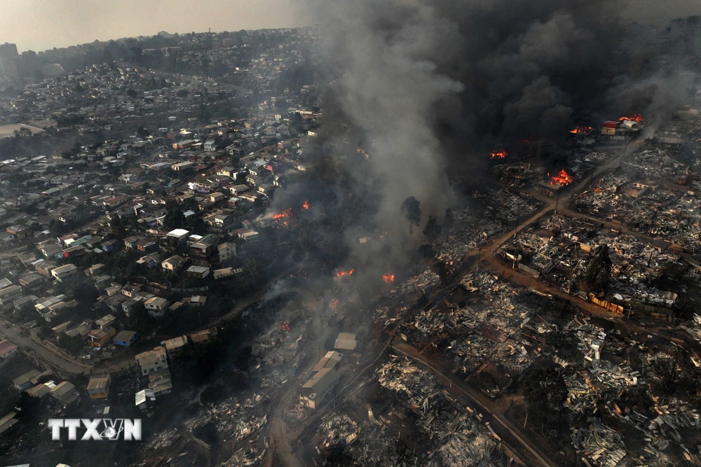 Một khu vực bị ảnh hưởng bởi cháy rừng tại Vina del Mar, Chile. (Ảnh: AFP/TTXVN)